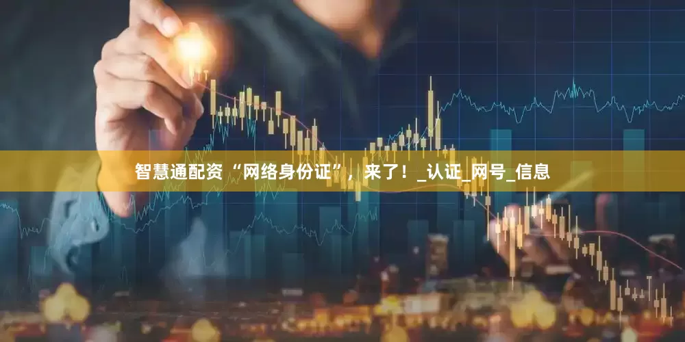 智慧通配资 “网络身份证”，来了！_认证_网号_信息