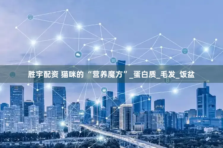 胜宇配资 猫咪的 “营养魔方”_蛋白质_毛发_饭盆